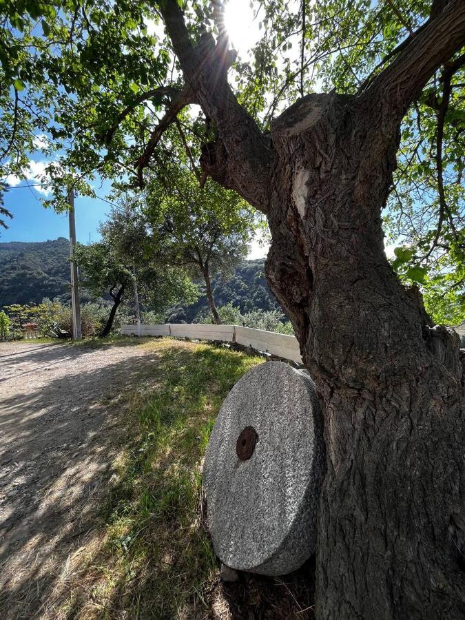 Casa Maria Host Green - Casa Vacanze - Rossano Case San Francesco Εξωτερικό φωτογραφία