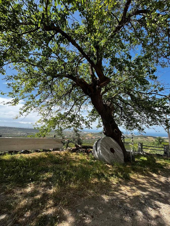Casa Maria Host Green - Casa Vacanze - Rossano Case San Francesco Εξωτερικό φωτογραφία